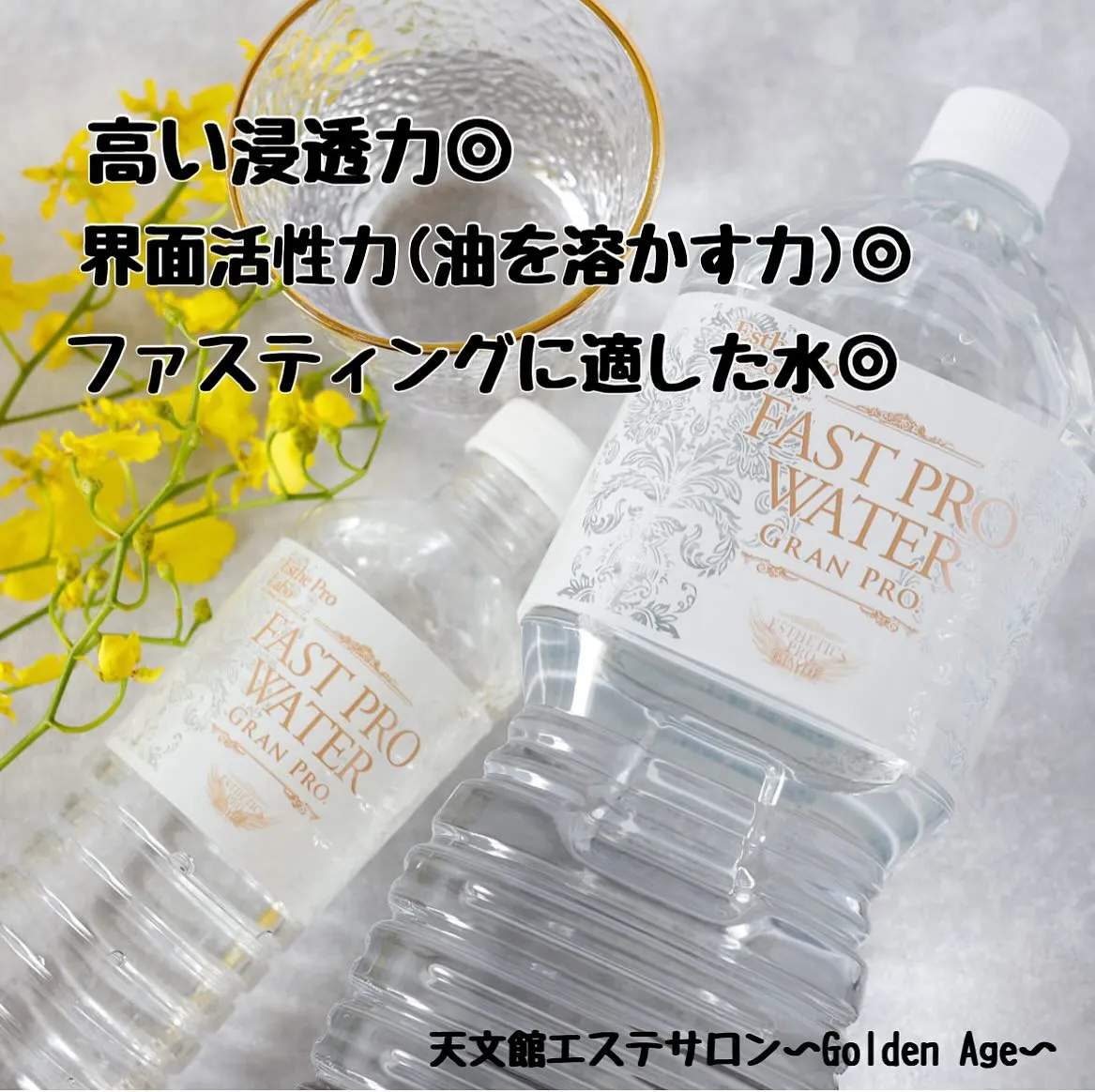 ﹨ ファストプロウォーターグランプロ ✨️ ∕