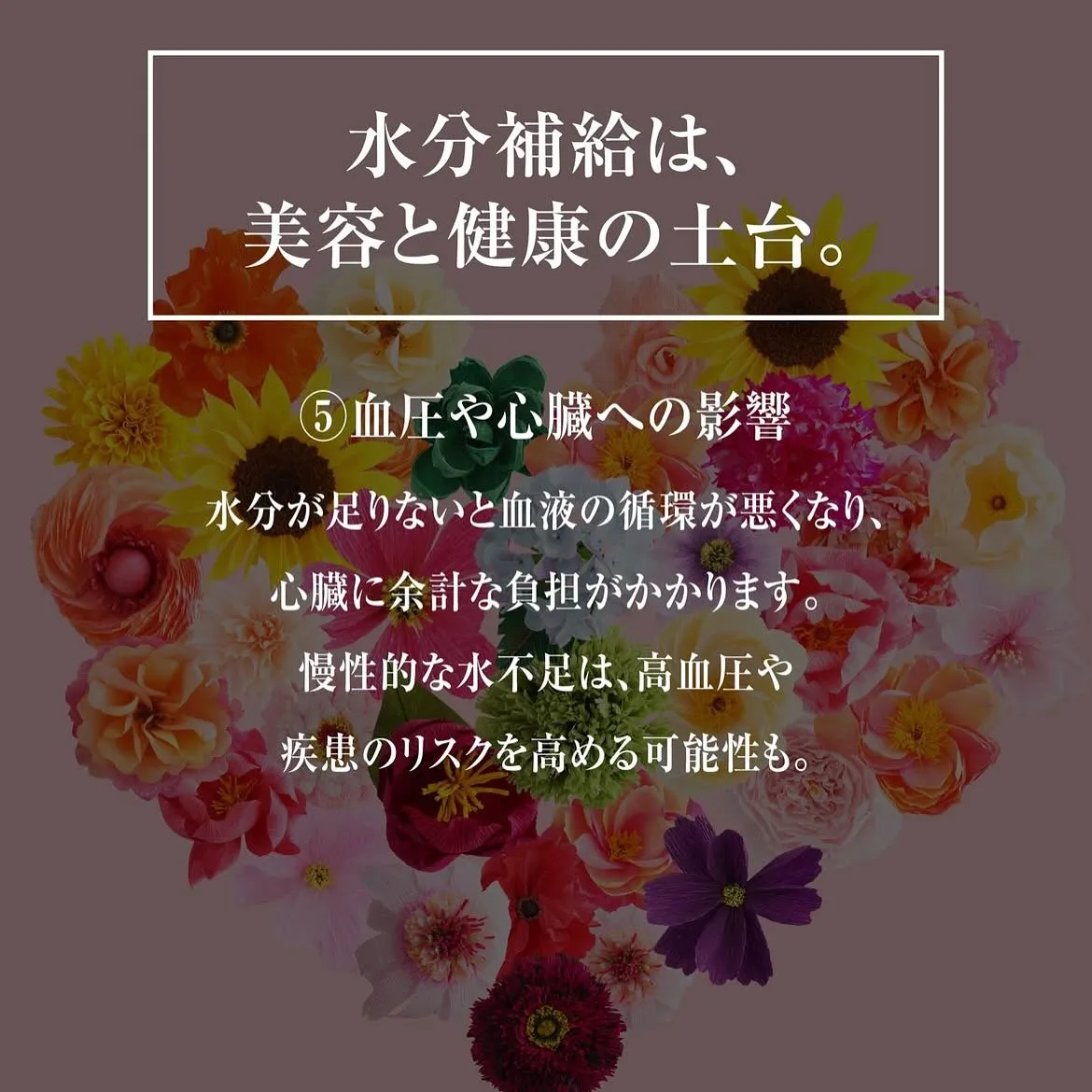 ﹨ ファストプロウォーターグランプロ ✨️ ∕